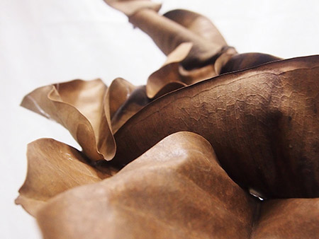 Art guide to academic fine art curriculum advanced art lessons in Installation art studio practice in Singapore contemporary arts scene, art space and art culture