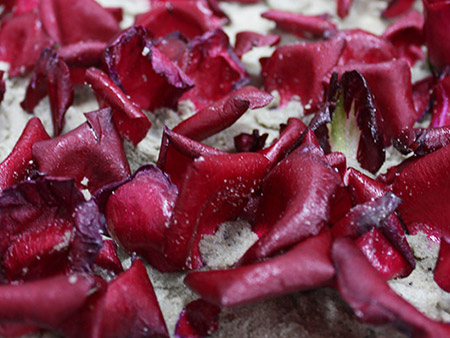 Art guide to academic fine art curriculum advanced art lessons in Mixed Media art studio practice in Singapore contemporary arts scene, art space and art culture