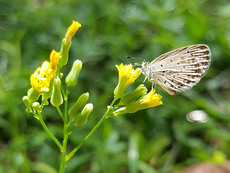 Crossing art boundaries, bridging art space, art scene, art perspective, a look at traditional fine art and contemporary visual art practice