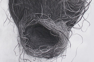 Bird's Nest V - Nature drawing, realism in charcoal Singapore art class. Beautiful artwork by Singapore contemporary artist
