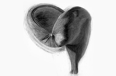 Organic I - Nature drawing, realism in charcoal, Singapore art class. Beautiful artwork by Singapore contemporary artist