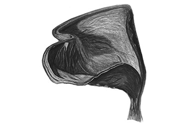 Organic IV - Nature drawing, realism in charcoal, Singapore art class. Amazing artwork by Singapore contemporary artist