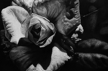 realistic charcoal drawing