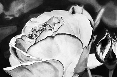 Photo realistic artwork of a white flower