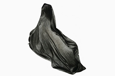 Organic Shape 2 - Nature drawing, realism in charcoal, Singapore art class. Beautiful artwork by Singapore contemporary artist