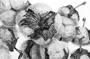 Cottons - overlapping drawing - Singapore art class and arts scene. Beautiful artwork by Singapore contemporary artist