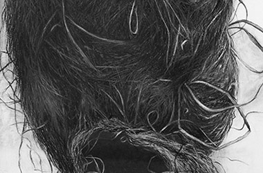 Bird Nest VI - Nature drawing, realism in charcoal, Singapore art class. Beautiful artwork by Singapore contemporary artist