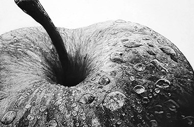 Apple drawing. Beautiful artwork by Singapore contemporary artist Khee.