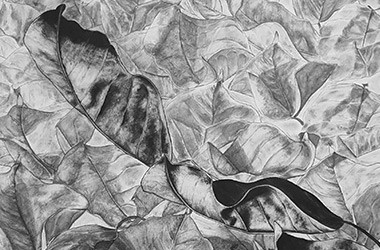Leaves - overlapping drawing - Singapore art class and arts scene. Beautiful artwork by Singapore contemporary artist