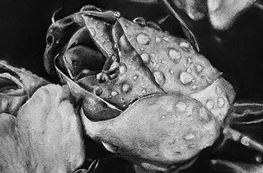 realistic charcoal drawing