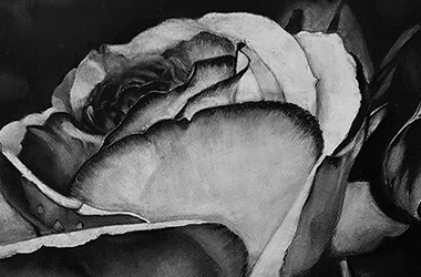 realistic charcoal drawing