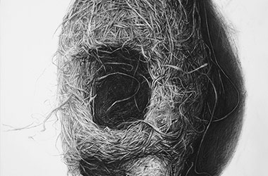 Bird Nest No.1 - Nature drawing, realism in charcoal, Singapore art class and art scene. Beautiful artwork by Singapore contemporary artist