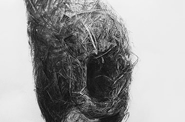 Bird Nest No.10 - Nature drawing, realism in charcoal, Singapore art class and art scene. Beautiful artwork by Singapore contemporary artist