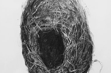 Bird Nest No.11 - Nature drawing, realism in charcoal, Singapore art class and art scene. Amazing artwork by Singapore contemporary artist
