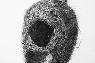 Bird Nest No.3 - Nature drawing, realism in charcoal, Singapore art class and art scene. Beautiful artwork by Singapore contemporary artist