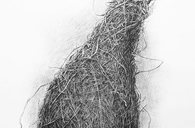 Bird Nest No.6 - Nature drawing, realism in charcoal, Singapore art class and arts scene. Beautiful artwork by Singapore contemporary artist