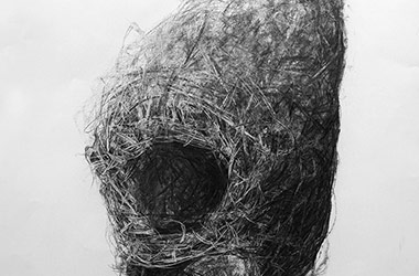 Bird Nest No.9 - Nature drawing, realism in charcoal, Singapore art class and art scene. Beautiful artwork by Singapore contemporary artist