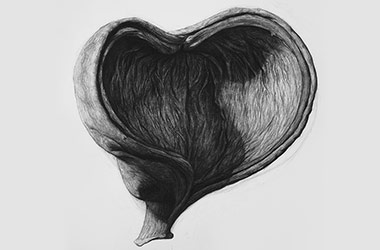 Organic Shape No.4 - Nature drawing, realism in charcoal, Singapore art class and art scene. Beautiful artwork by Singapore contemporary artist