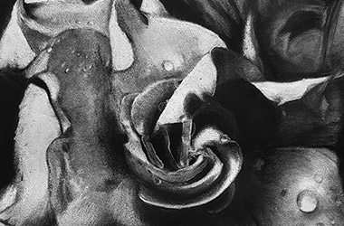 realistic charcoal drawing