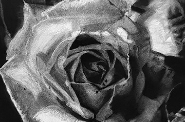 realistic charcoal drawing