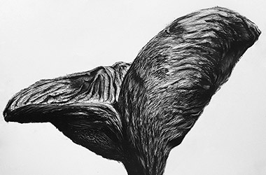 Organic Shape No.5 - Nature drawing, realism in charcoal, Singapore contemporary art scene and art class. Beautiful artwork by Singapore contemporary artist