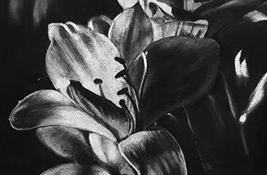 realistic charcoal drawing