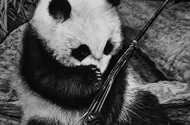 Photo realistic artwork of a cute panda