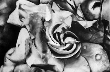 realistic charcoal drawing