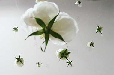 4 a.m.: Singapore experimental art studies in contemporary art space, Singapore installation art