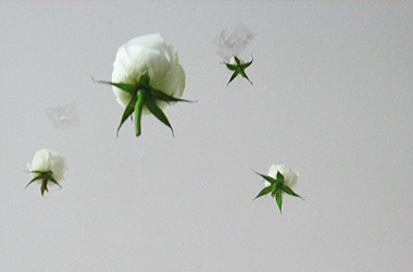 4 a.m.: Singapore experimental art studies in contemporary art space, Singapore installation art