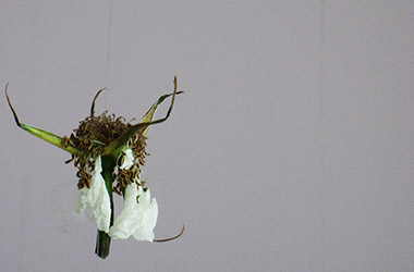 4 a.m.: Singapore experimental art studies in contemporary art space, Singapore installation art