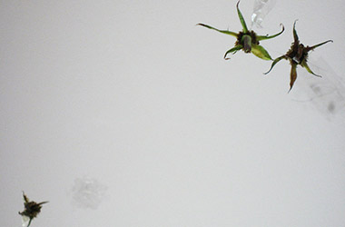 4 a.m.: Singapore experimental art studies in contemporary art space, Singapore installation art