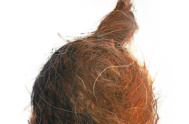 Bird's Nest II - Nature oil painting, Singapore contemporary arts scene. Artwork by Singapore contemporary artist