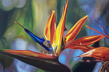 contemporary realism painting of bird of paradise