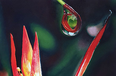 contemporary oil painting of still life. Artwork by Singapore contemporary artist