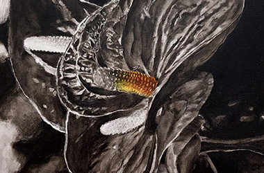 oil painting course teaching underpainting and glazing