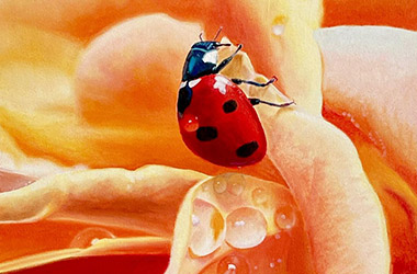 contemporary oil painting of still life. Artwork by Singapore contemporary artist