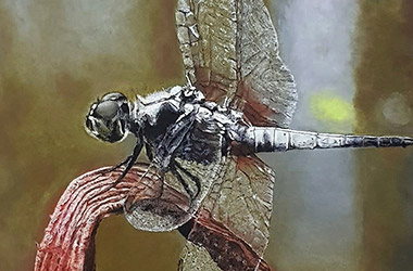 contemporary oil painting, Singapore arts scene. Artwork by Singapore contemporary artist