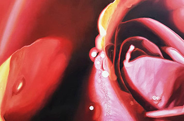contemporary oil painting of a red rose. Artwork by Singapore contemporary artist