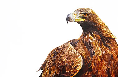 Pen drawing by contemporary Singapore artist Lai Khai Jin, Celeste