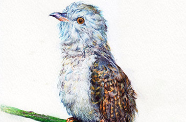 Bird no.3 by Singapore contemporary artist Liu Ling