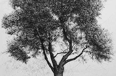 Tree No.3 by contemporary Singapore artist Liu Ling