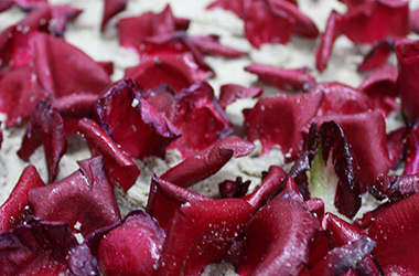 Art guide to fine art in Singapore contemporary photography art prints centred on experimental photography, nature art and fine art curriculum academic studio practice in Singapore contemporary arts scene, art space and art culture