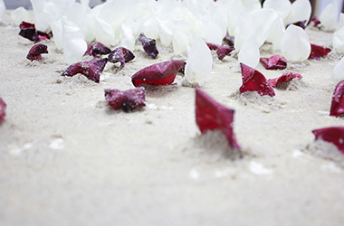 Art guide to fine art in Singapore contemporary photography art prints centred on experimental photography, nature art, installation art and fine art curriculum academic studio practice in Singapore contemporary arts scene, art space and art culture 