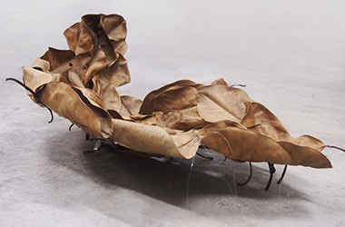 Art guide to fine art in Singapore contemporary photography art prints centred on experimental photography, nature art, installation art and fine art curriculum academic studio practice in Singapore contemporary arts scene, art space and art culture