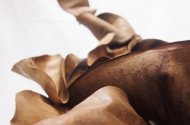 Art guide to fine art in Singapore contemporary photography art prints centred on experimental photography, nature art, installation art and fine art curriculum academic studio practice in Singapore contemporary arts scene, art space and art culture