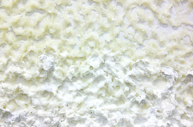 Art guide to fine art in Singapore contemporary photography art prints centred on experimental photography, abstract art, mixed media art and fine art curriculum academic studio practice in Singapore contemporary arts scene, art space and art culture