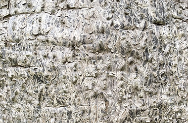 Art guide to fine art in Singapore contemporary photography art prints centred on experimental photography, abstract art, nature art and fine art curriculum academic studio practice in Singapore contemporary arts scene, art space and art culture