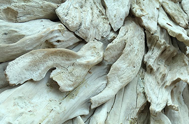 Art guide to fine art in Singapore contemporary photography art prints centred on experimental photography, abstract art, nature art and fine art curriculum academic studio practice in Singapore contemporary arts scene, art space and art culture