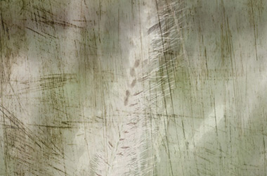 Whisperings 1 by NAFA alumni artist. Art guide to fine art in Singapore contemporary photography art prints centred on experimental photography, urban art, installation art and fine art curriculum academic studio practice in Singapore contemporary arts scene, art space and art culture